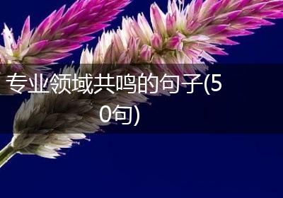 专业领域共鸣的句子(50句)
