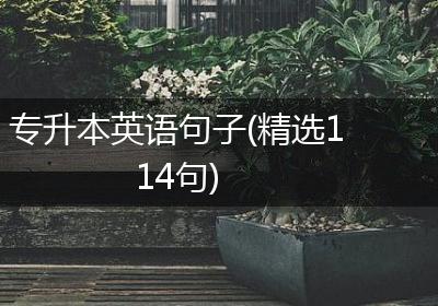 专升本英语句子(精选114句)