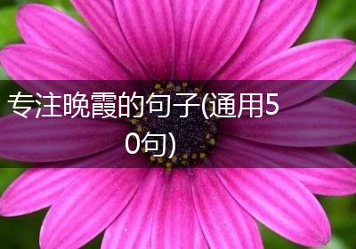 专注晚霞的句子(通用50句)