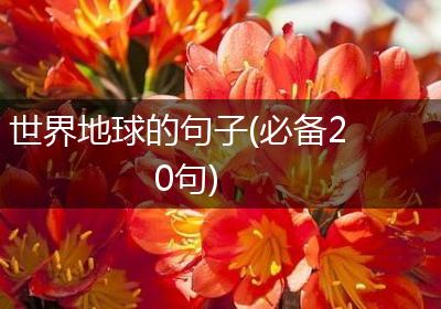 世界地球的句子(必备20句)