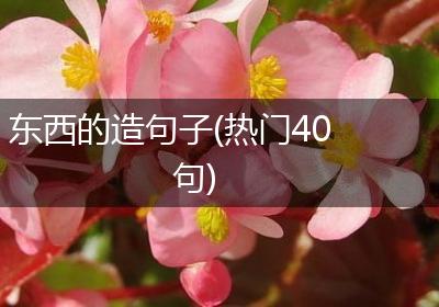 东西的造句子(热门40句)