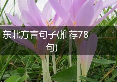 东北方言句子(推荐78句)