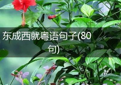 东成西就粤语句子(80句)