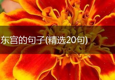 东宫的句子(精选20句)