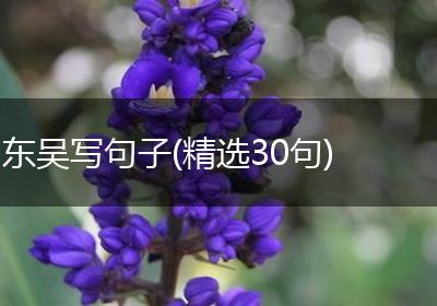 东吴写句子(精选30句)