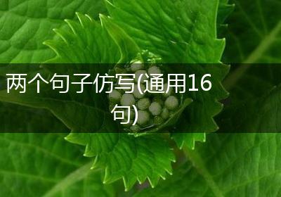 两个句子仿写(通用16句)