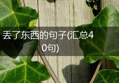 丢了东西的句子(汇总40句)