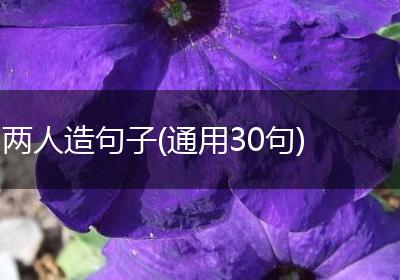 两人造句子(通用30句)