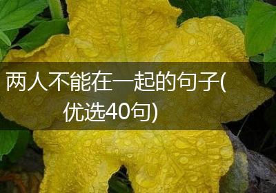 两人不能在一起的句子(优选40句)