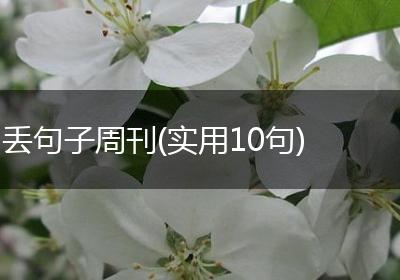 丢句子周刊(实用10句)