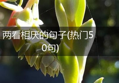 两看相厌的句子(热门50句)