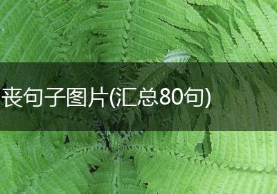 丧句子图片(汇总80句)