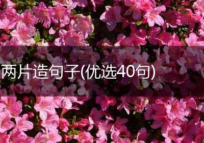两片造句子(优选40句)