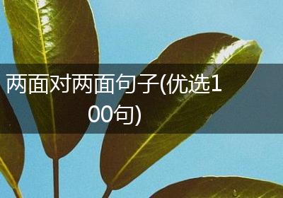 两面对两面句子(优选100句)