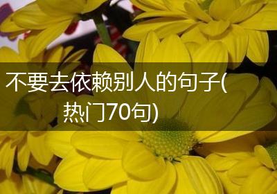 不要去依赖别人的句子(热门70句)
