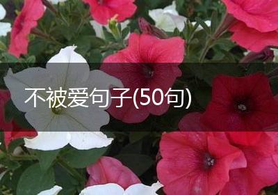 不被爱句子(50句)