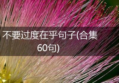 不要过度在乎句子(合集60句)