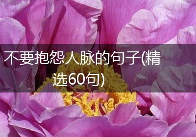 不要抱怨人脉的句子(精选60句)