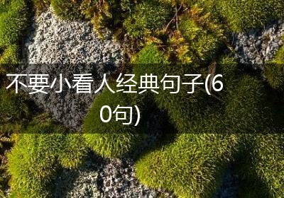 不要小看人经典句子(60句)