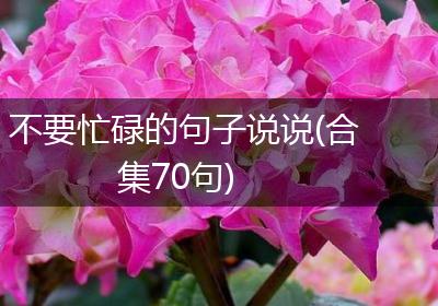 不要忙碌的句子说说(合集70句)