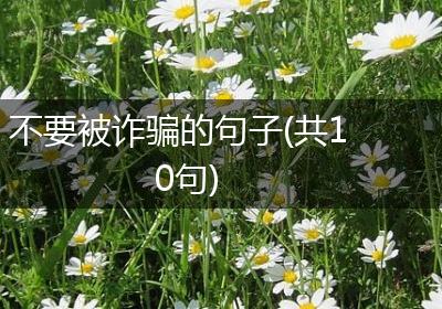 不要被诈骗的句子(共10句)