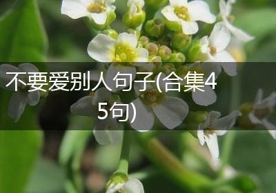 不要爱别人句子(合集45句)