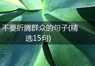 不要折腾群众的句子(精选15句)