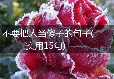 不要把人当傻子的句子(实用15句)