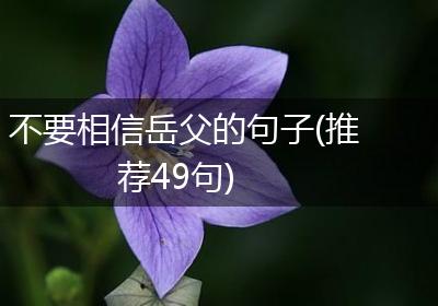 不要相信岳父的句子(推荐49句)