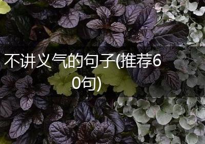 不讲义气的句子(推荐60句)