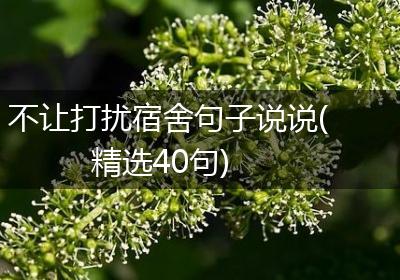不让打扰宿舍句子说说(精选40句)