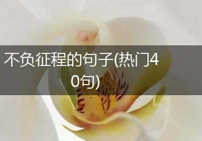 不负征程的句子(热门40句)
