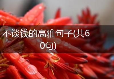不谈钱的高雅句子(共60句)
