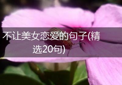 不让美女恋爱的句子(精选20句)