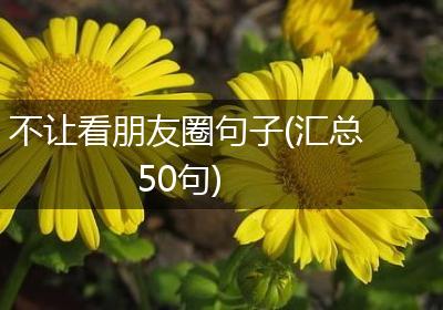 不让看朋友圈句子(汇总50句)