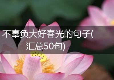 不辜负大好春光的句子(汇总50句)