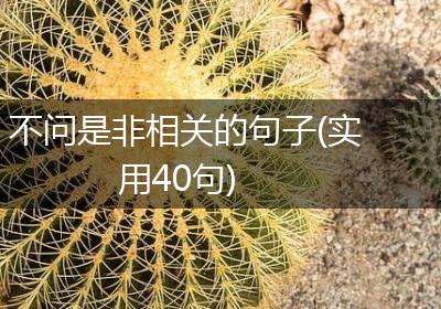 不问是非相关的句子(实用40句)