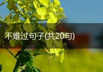 不难过句子(共20句)