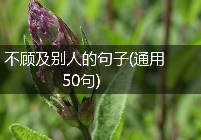 不顾及别人的句子(通用50句)