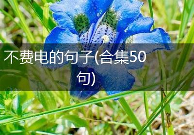 不费电的句子(合集50句)