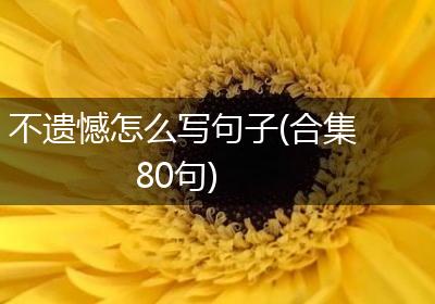 不遗憾怎么写句子(合集80句)