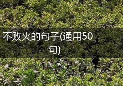 不败火的句子(通用50句)