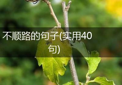 不顺路的句子(实用40句)