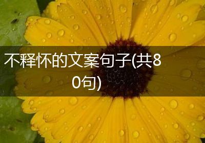 不释怀的文案句子(共80句)