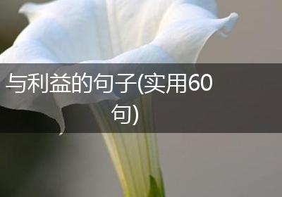 与利益的句子(实用60句)