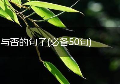与否的句子(必备50句)