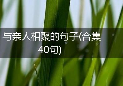 与亲人相聚的句子(合集40句)