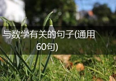 与数学有关的句子(通用60句)
