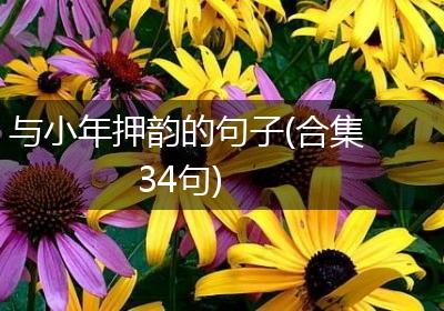 与小年押韵的句子(合集34句)