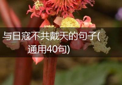 与日寇不共戴天的句子(通用40句)